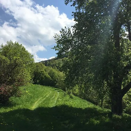 Holiday home Hochbrand *