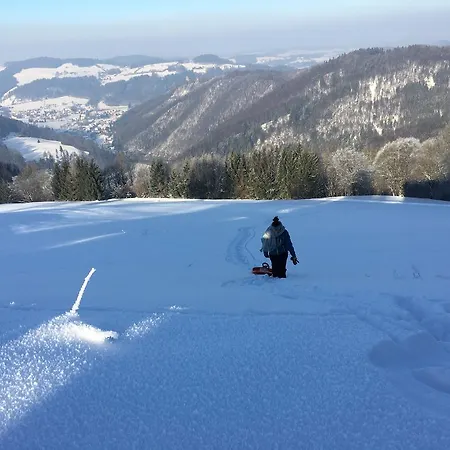 Дом отдыха Hochbrand Rabenstein