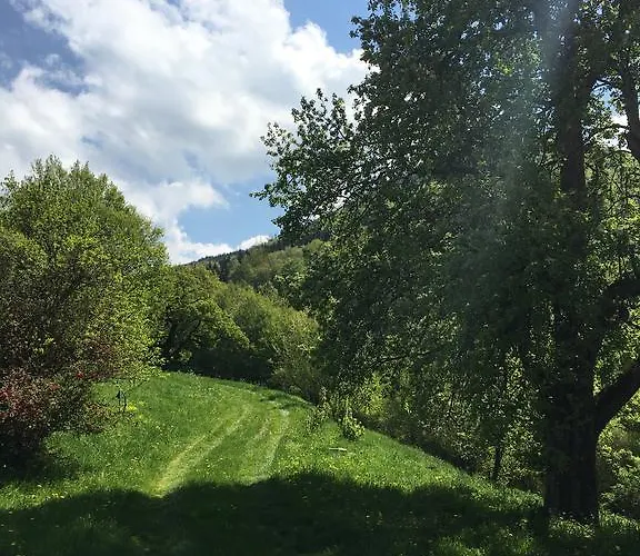 Holiday home Hochbrand *