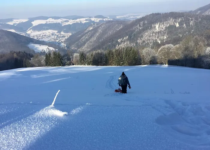 Holiday home Hochbrand Rabenstein